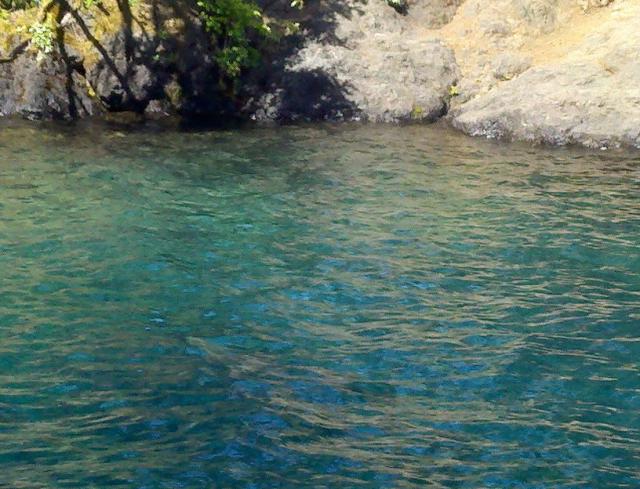 Swimming hole at Lake Crescent